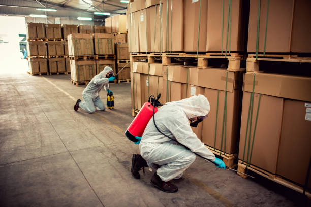 Best Wasp Removal Services  in Norfolk, NE