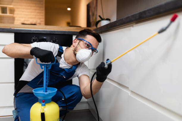 Best Pest Inspection Near Me  in Norfolk, NE