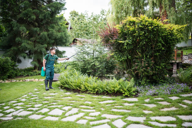Best Local Pest Control Services  in Norfolk, NE