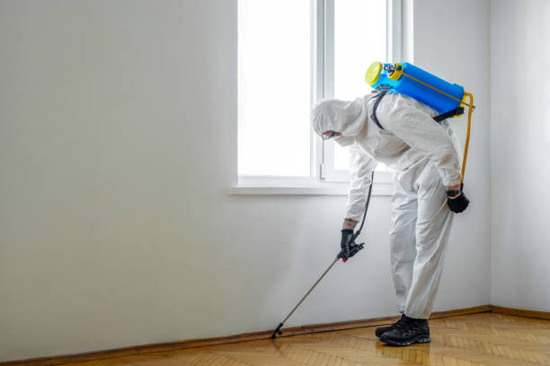 Professional Pest Control in Norfolk, NE