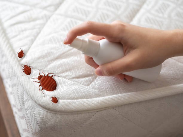 Best Pest Prevention Services  in Norfolk, NE