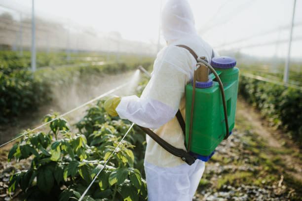 Best Pest Inspection Near Me  in Norfolk, NE